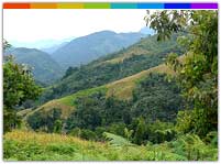  Dumporijo, Arunachal Pradesh India