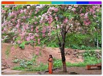 Hermitage of Vasistha, Guwahati