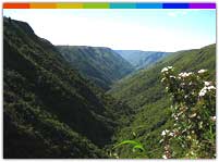 Jaintia Hills, Meghalaya