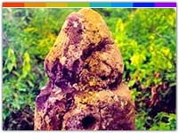 Mangkahia Lung Mizoram