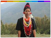 Art and Handicrafts Nagaland