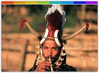 Sekrenyi Festival Nagaland