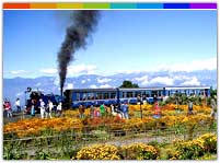 Darjeeling Holiday