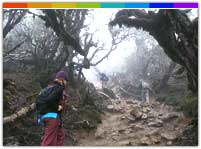 Sikkim Trekking